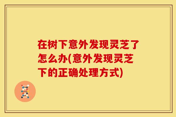 在树下意外发现灵芝了怎么办(意外发现灵芝下的正确处理方式)