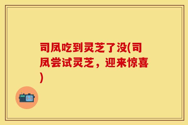 司凤吃到灵芝了没(司凤尝试灵芝，迎来惊喜)