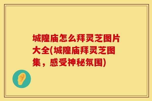 城隍庙怎么拜灵芝图片大全(城隍庙拜灵芝图集，感受神秘氛围)