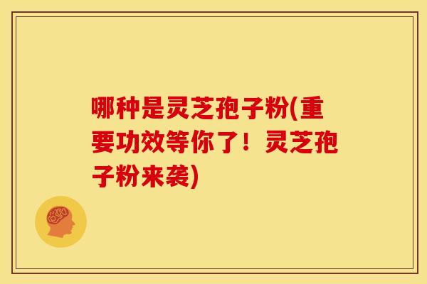 哪种是灵芝孢子粉(重要功效等你了！灵芝孢子粉来袭)