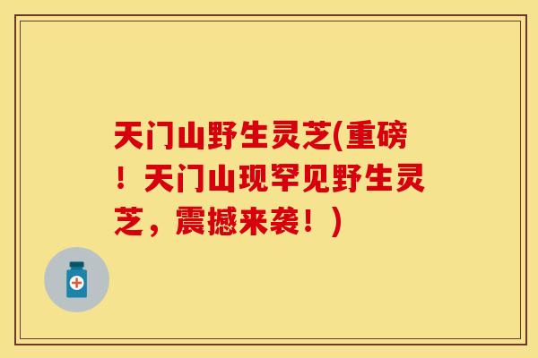 天门山野生灵芝(重磅！天门山现罕见野生灵芝，震撼来袭！)