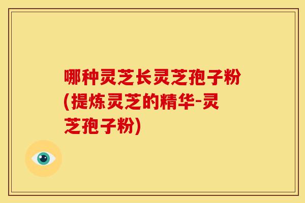 哪种灵芝长灵芝孢子粉(提炼灵芝的精华-灵芝孢子粉)