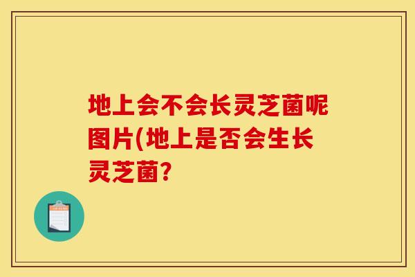 地上会不会长灵芝菌呢图片(地上是否会生长灵芝菌？