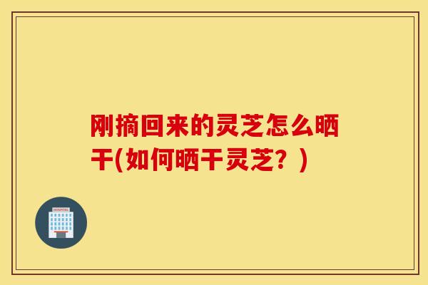 刚摘回来的灵芝怎么晒干(如何晒干灵芝？)