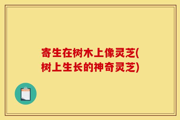 寄生在树木上像灵芝(树上生长的神奇灵芝)