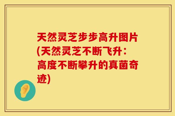 天然灵芝步步高升图片(天然灵芝不断飞升：高度不断攀升的真菌奇迹)
