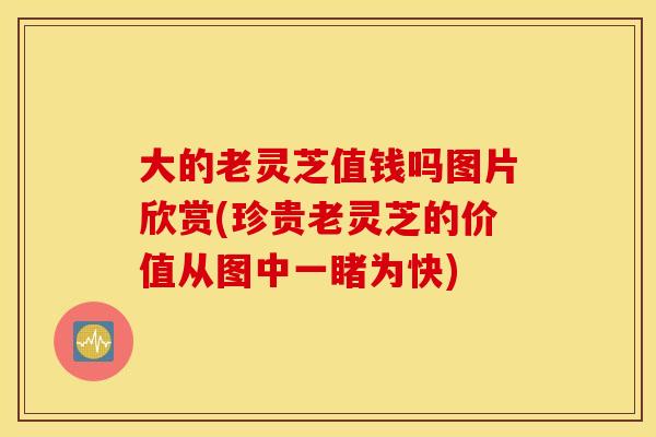 大的老灵芝值钱吗图片欣赏(珍贵老灵芝的价值从图中一睹为快)
