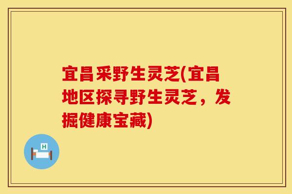 宜昌采野生灵芝(宜昌地区探寻野生灵芝，发掘健康宝藏)