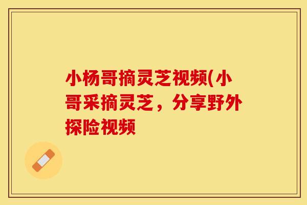 小杨哥摘灵芝视频(小哥采摘灵芝，分享野外探险视频