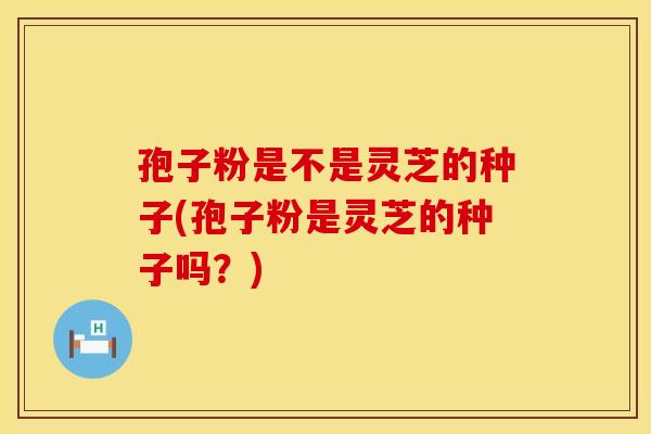 孢子粉是不是灵芝的种子(孢子粉是灵芝的种子吗？)