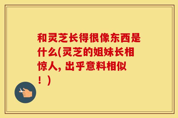 和灵芝长得很像东西是什么(灵芝的姐妹长相惊人, 出乎意料相似！)