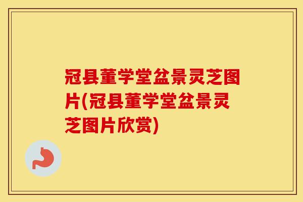冠县董学堂盆景灵芝图片(冠县董学堂盆景灵芝图片欣赏)