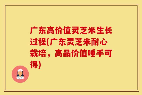 广东高价值灵芝米生长过程(广东灵芝米耐心栽培，高品价值唾手可得)
