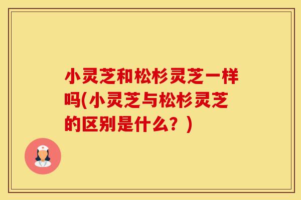 小灵芝和松杉灵芝一样吗(小灵芝与松杉灵芝的区别是什么？)