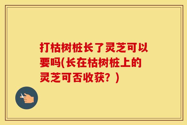 打枯树桩长了灵芝可以要吗(长在枯树桩上的灵芝可否收获？)