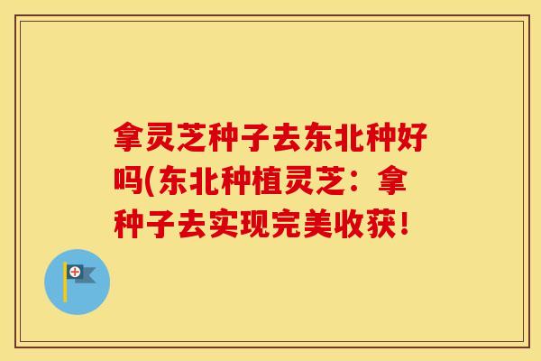 拿灵芝种子去东北种好吗(东北种植灵芝：拿种子去实现完美收获！