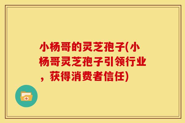 小杨哥的灵芝孢子(小杨哥灵芝孢子引领行业，获得消费者信任)