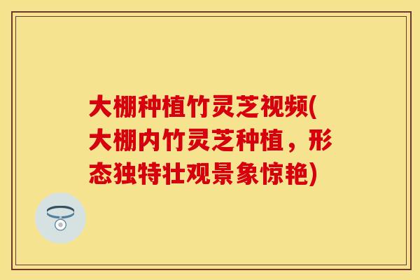 大棚种植竹灵芝视频(大棚内竹灵芝种植，形态独特壮观景象惊艳)