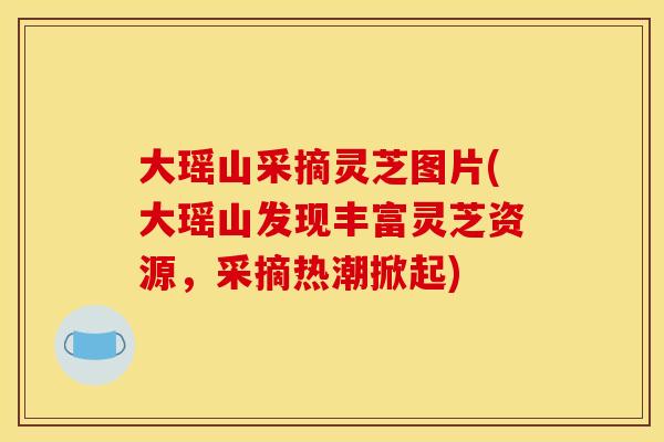 大瑶山采摘灵芝图片(大瑶山发现丰富灵芝资源，采摘热潮掀起)