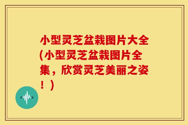 小型灵芝盆栽图片大全(小型灵芝盆栽图片全集，欣赏灵芝美丽之姿！)