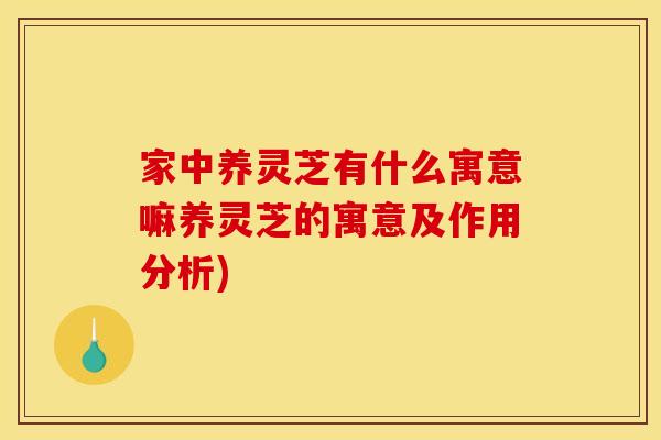 家中养灵芝有什么寓意嘛养灵芝的寓意及作用分析)