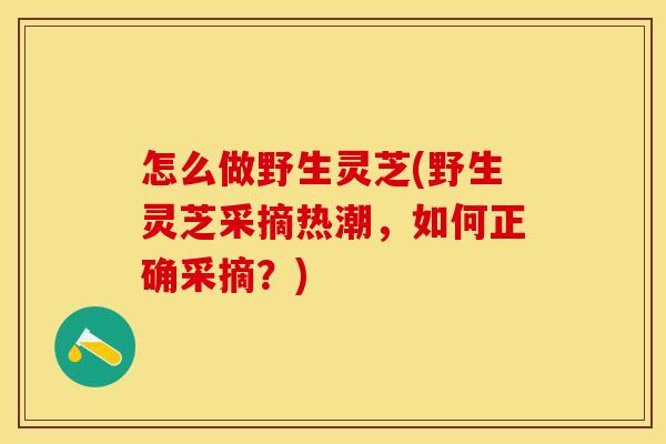 怎么做野生灵芝(野生灵芝采摘热潮，如何正确采摘？)