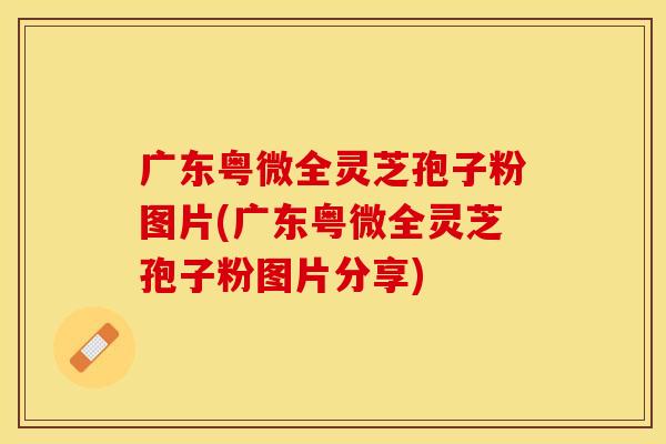 广东粤微全灵芝孢子粉图片(广东粤微全灵芝孢子粉图片分享)