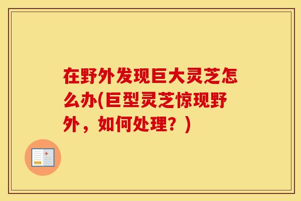 在野外发现巨大灵芝怎么办(巨型灵芝惊现野外，如何处理？)