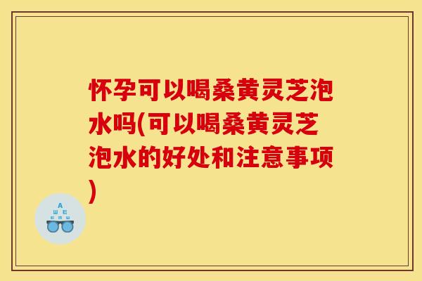 怀孕可以喝桑黄灵芝泡水吗(可以喝桑黄灵芝泡水的好处和注意事项)