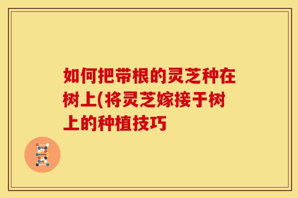 如何把带根的灵芝种在树上(将灵芝嫁接于树上的种植技巧