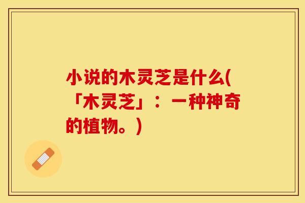 小说的木灵芝是什么(「木灵芝」：一种神奇的植物。)
