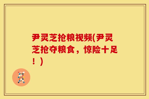 尹灵芝抢粮视频(尹灵芝抢夺粮食，惊险十足！)