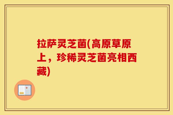 拉萨灵芝菌(高原草原上，珍稀灵芝菌亮相西藏)