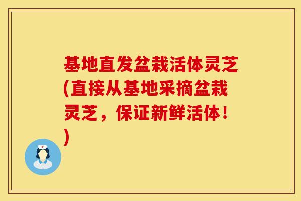 基地直发盆栽活体灵芝(直接从基地采摘盆栽灵芝，保证新鲜活体！)