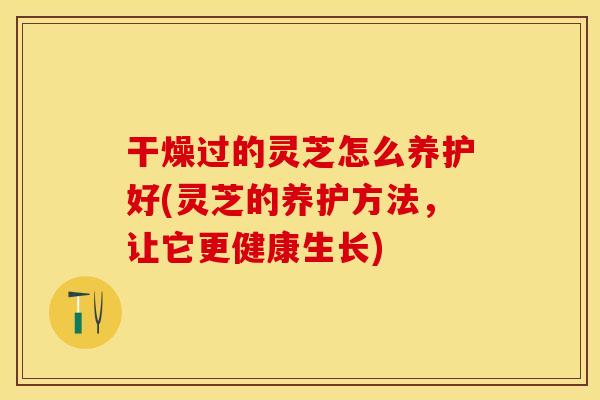 干燥过的灵芝怎么养护好(灵芝的养护方法，让它更健康生长)
