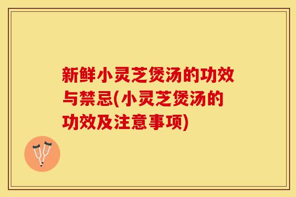 新鲜小灵芝煲汤的功效与禁忌(小灵芝煲汤的功效及注意事项)