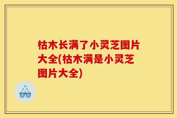 枯木长满了小灵芝图片大全(枯木满是小灵芝图片大全)
