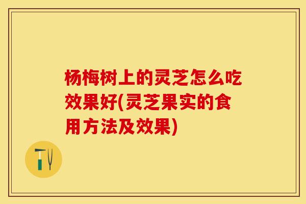 杨梅树上的灵芝怎么吃效果好(灵芝果实的食用方法及效果)