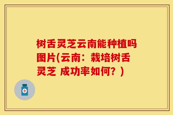 树舌灵芝云南能种植吗图片(云南：栽培树舌灵芝 成功率如何？)