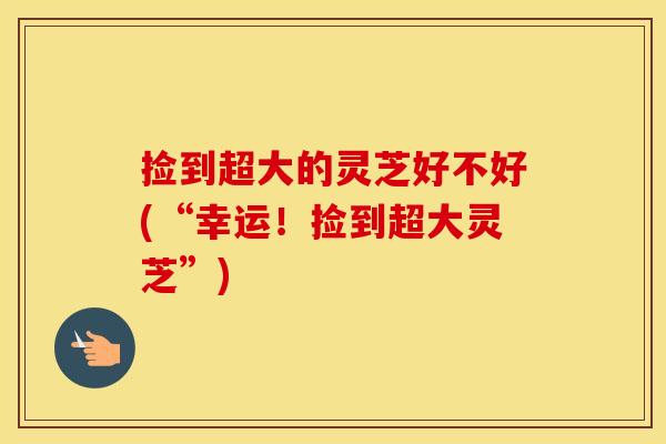 捡到超大的灵芝好不好(“幸运！捡到超大灵芝”)