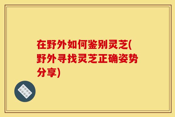 在野外如何鉴别灵芝(野外寻找灵芝正确姿势分享)