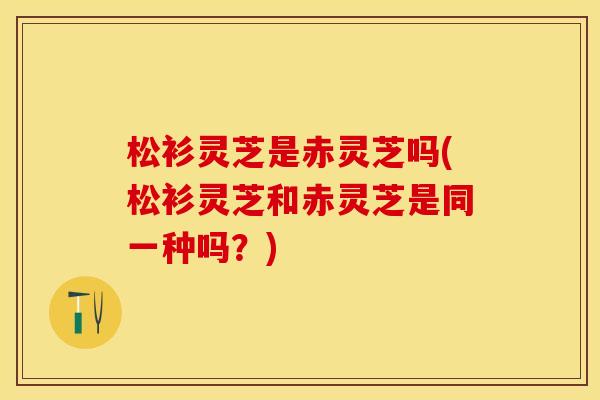 松衫灵芝是赤灵芝吗(松衫灵芝和赤灵芝是同一种吗？)
