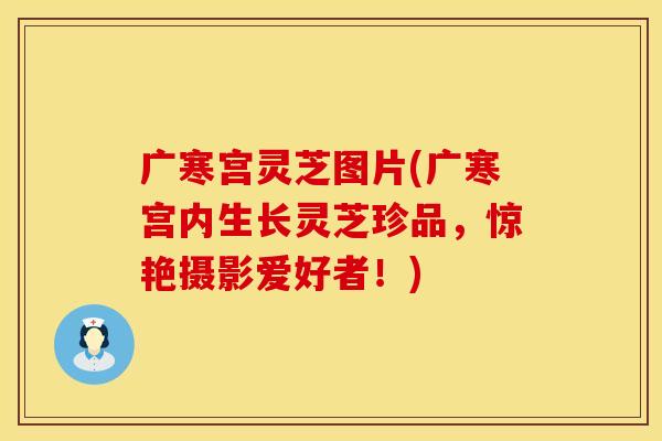 广寒宫灵芝图片(广寒宫内生长灵芝珍品，惊艳摄影爱好者！)