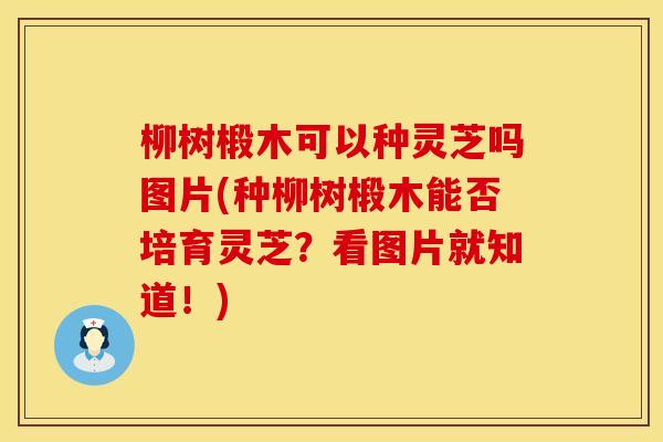 柳树椴木可以种灵芝吗图片(种柳树椴木能否培育灵芝？看图片就知道！)