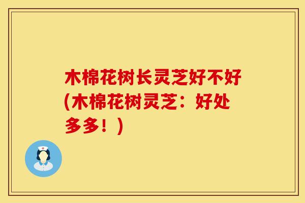 木棉花树长灵芝好不好(木棉花树灵芝：好处多多！)