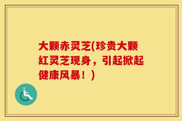 大颗赤灵芝(珍贵大颗红灵芝现身，引起掀起健康风暴！)