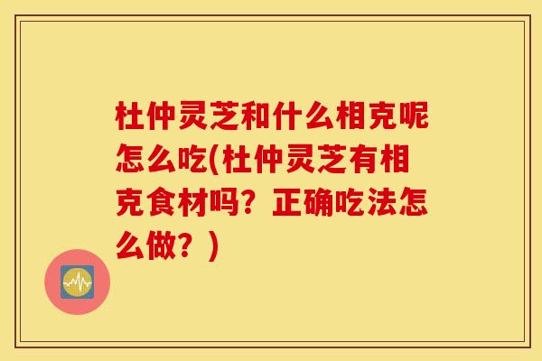 杜仲灵芝和什么相克呢怎么吃(杜仲灵芝有相克食材吗？正确吃法怎么做？)