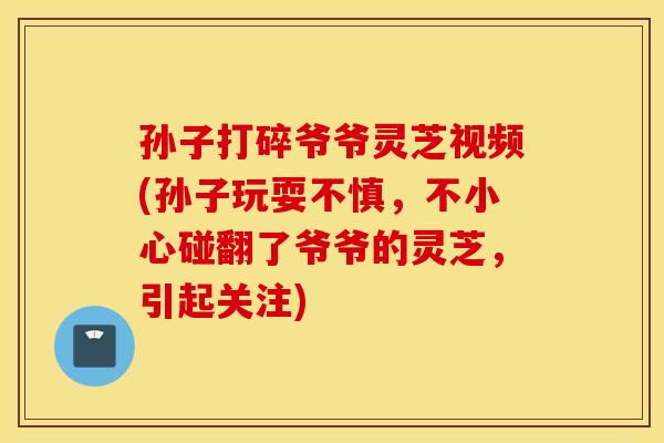 孙子打碎爷爷灵芝视频(孙子玩耍不慎，不小心碰翻了爷爷的灵芝，引起关注)