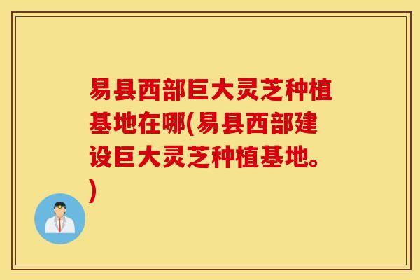 易县西部巨大灵芝种植基地在哪(易县西部建设巨大灵芝种植基地。)
