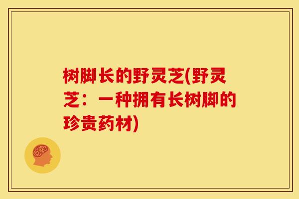 树脚长的野灵芝(野灵芝：一种拥有长树脚的珍贵药材)